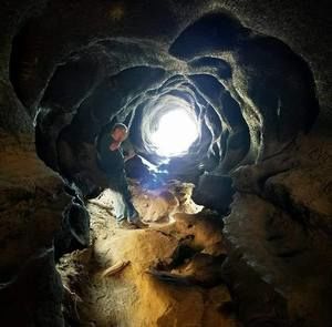 Meet your Posher, Rick